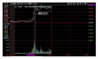 特朗普當(dāng)選總統(tǒng)對軟件開發(fā)行業(yè)的影響與應(yīng)對