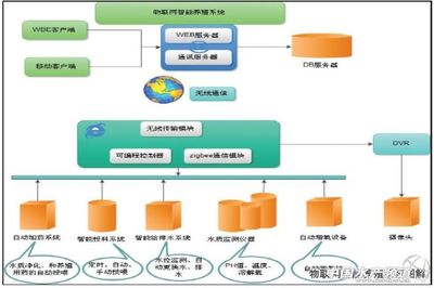 云計(jì)算賦能智能養(yǎng)殖 通威模式引領(lǐng)行業(yè)綠色可持續(xù)發(fā)展新篇章